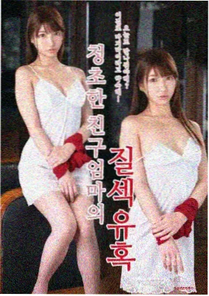 剧集《海雾信号》封面